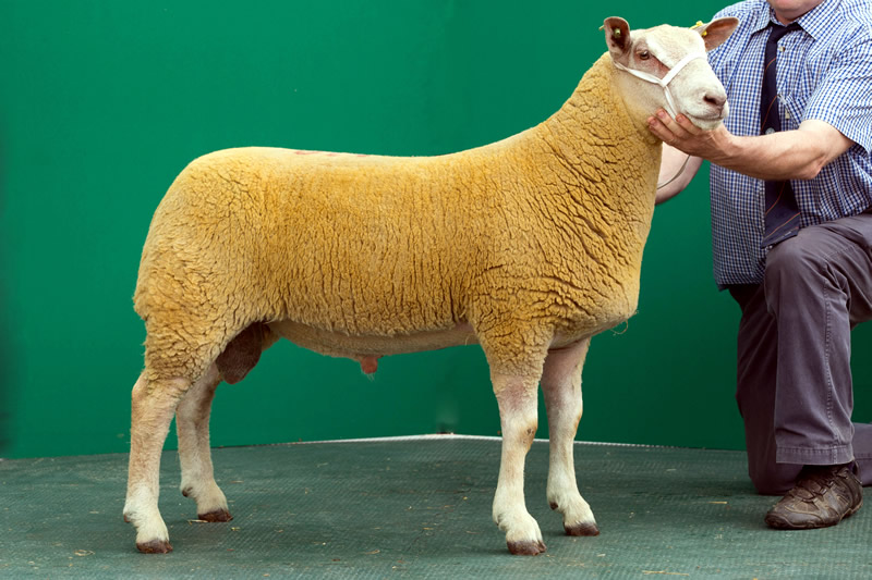 Arbryn Olazabal Arbryn Olazabal